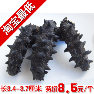  淡干海参刺参辽参/海参/干海参辽刺参大连海参海产品可以货到付款