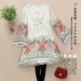 白金天使 2010日单秋冬新款雪纺连衣裙 碎花长袖雪纺裙子3366