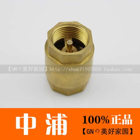 Клапан обратный Indesen 401 DN15202532405065 Клапан обратный Indesen 401 DN15202532405065