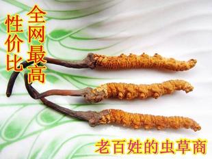  青海玉树正品冬虫夏草 3根/克 同仁堂规格 原产地批发  5克包邮
