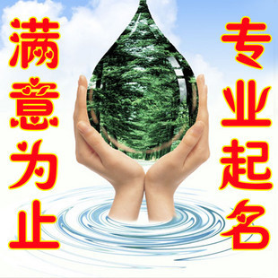 起名 乳名专拍 宝宝手工取名 婴儿起名字成人改名满意为止