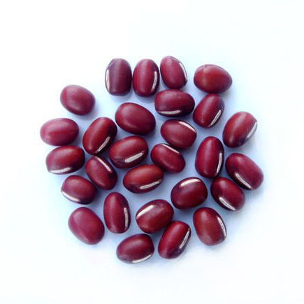 2011新货黑龙江有机红小豆500g赤豆东北农家种植红豆快递6元包邮