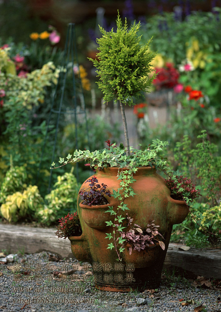 个性定制产品,136.花卉图片.鲜花盆景照片.图像