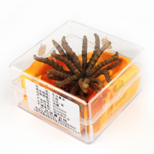  云南白药千草堂 原生态冬虫夏草 简装王级