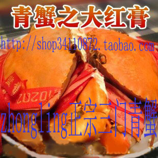  三门青蟹 红膏 海鲜 专克厌食 绿色有机 海蟹螃蟹 青蟹