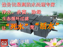 森森过滤器CBF-350C池塘生化过滤器 鱼塘鱼池大流量大过滤器