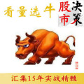 《看量选牛》专家培训全套:准确选股的秘密武器