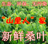 taobao english 14509242975