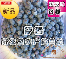 包邮好吃的野生蓝莓干 抗癌 抗衰老护眼 无糖电脑族必备