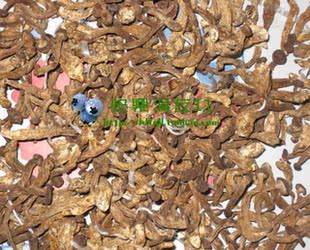  东北蘑菇 大兴安岭野生毛尖蘑250克金矿上长出的金娃娃 菇圣干货