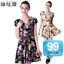 瑞丝源正品 2012春夏新款女装 V领简约田园甜美印花连衣裙 11112