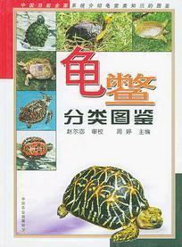 龟鳖分类图鉴(全彩精装)周婷编 现货正版当天发在类目 书籍/杂志/报纸, 自然科学, 生命科学中 - 来自Buy2taobao.com提供专业的淘宝代购服务