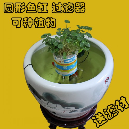 DIY 鱼缸过滤器 低水位乌龟缸过滤 陶瓷缸过滤