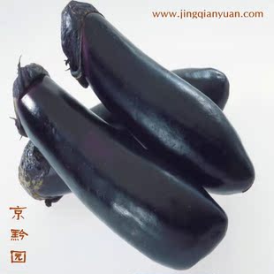  【京黔园】绿色食品优质蔬菜 紫茄子茄瓜 北京买菜当天送到家