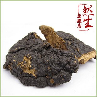  然生 云南野生薄树芝 薄树层孔菌孔菌 纯天然传统滋补品中华仙草