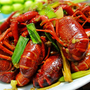  新鲜水产品 洪湖鲜活 清水小龙虾 麻辣小龙虾 10-18条一斤