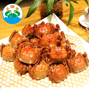  【加1元多2只】正宗阳澄湖大闸蟹团购 8只装 公3.2-3.0 母2.4-2.2