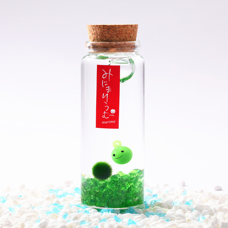 MARIMO Seckill !birthday originality gift Micro Landscape(Cartoon Floating ballin the Flower delivery/Flowers simulation/Plants gardening , Creative mini-plant category - from Buy2taobao.com to provide professional Taobao agent buy service