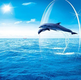 日本原装进口 非球面眼镜片 1.67非球镀膜镜片