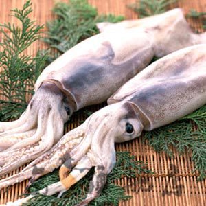  【京广海鲜】新鲜冷冻 鱼类 水产品 铁板鱿鱼