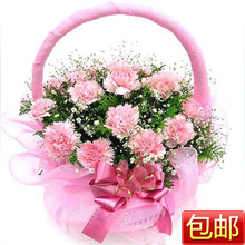 今日特价 父亲节鲜花预订 北京鲜花店 粉康乃馨花篮 祝福鲜花速递