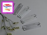 taobao english 3761339965