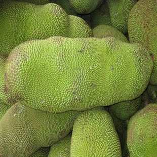  特价海南新鲜菠萝蜜水果香甜爽脆出肉多25斤起拍江浙沪免邮