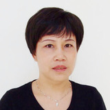 包邮 鼎尚假发 中老年假发短发直发假发女士假发套妈妈假发#R21
