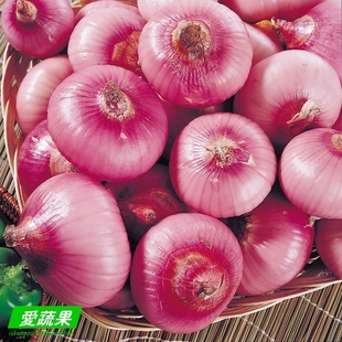  【爱蔬果】绿色食品新鲜蔬菜 紫洋葱 圆葱 葱头 北京配送