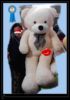 1.6米熊泰迪熊大毛绒，玩具熊1.8米西安毛绒玩具熊生日礼物男女公仔