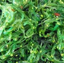 中华海草 即食海藻沙拉 海草丝海带裙带梗丝海带丝寿司料理海带丝