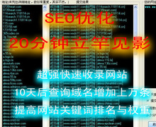 seo工具 seo软件 seo外链工具 seo优化 seo百度【seo蜘蛛精】