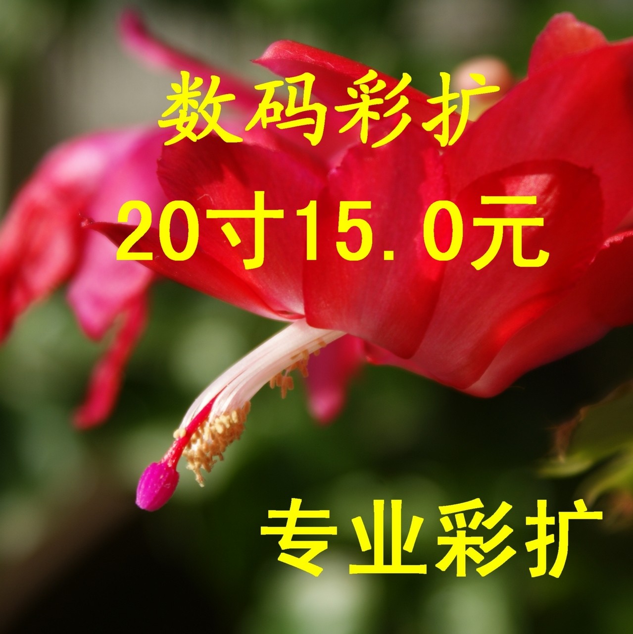 <em>天津</em>数码洗像 冲洗<em>照片</em>/洗<em>相片</em>/<em>冲印</em>/冲<em>照片</em>/彩