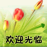 小礼物连接 每个ID限拍一个 多拍无效 必须拍下付款 不拍不送
