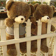 毛毛熊1.6米大号熊娃娃(熊，娃娃)公仔，1.2米泰迪熊毛绒玩具情人节女生日礼物