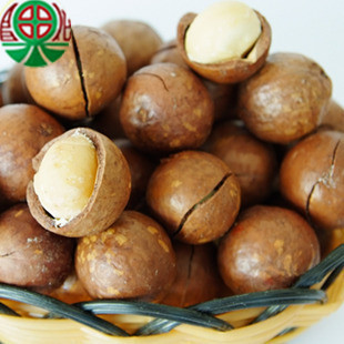  新货 夏威夷果 【昌化果】 200g 送开果器 2斤包邮