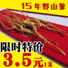 15年以上 小野山参 山参 纯野货 药力嗷嗷地3.5元/支 非普通山参