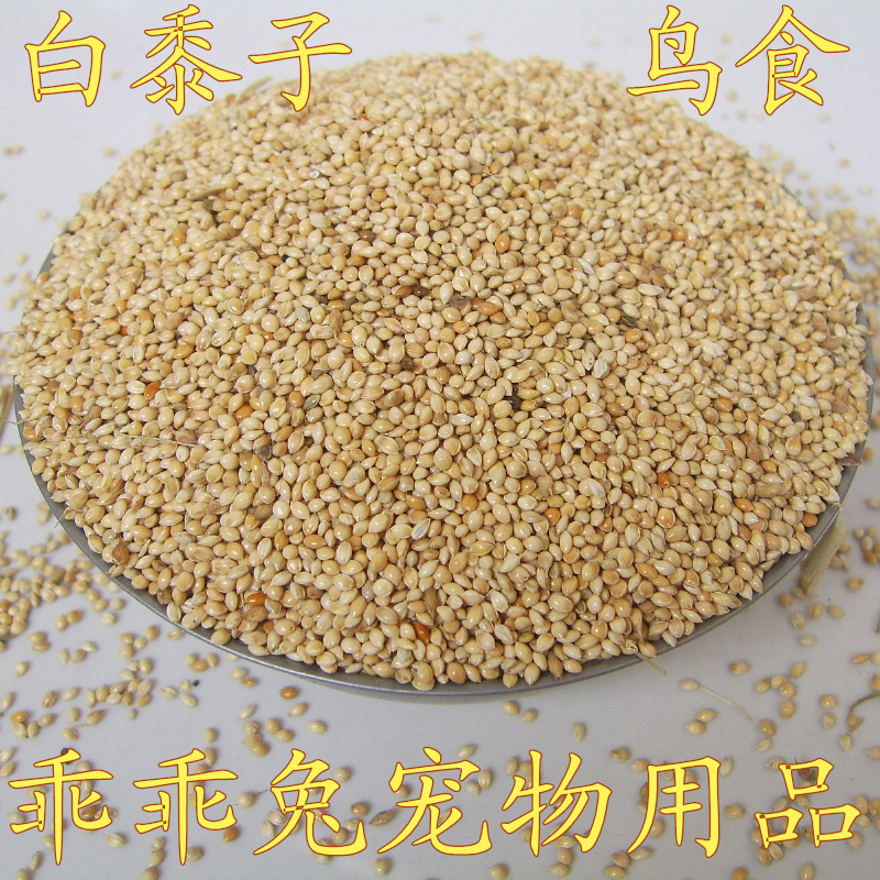 寵物鳥糧 帶殼大黃米/白黍子鹦鹉鴿子糧250G江浙滬魯皖10斤包郵在類目 寵物/寵物食品及用品, 鳥類及用品, 鳥食中 - 來自Buy2taobao.com提供專業的淘寶代購服務