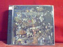 ��ҥ John Renbourn Group The Enchanted Garden ŷ�治�� m0486