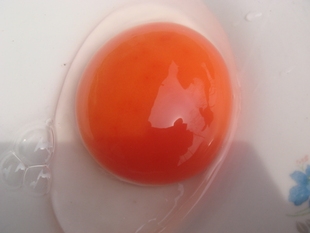  农家放养土鸭蛋 草鸭蛋  新鲜鸭蛋  假一罚百/去胎毒