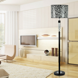Special fashion creative IKEA floor lamp floor lamp bedroom living room European-style modern fishing lights lamp D8145