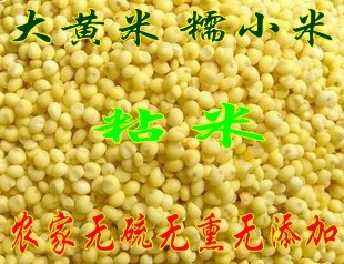  真心推荐年新货 杂粮 粗粮 优质大黄米 大黄米 糯黄米500g