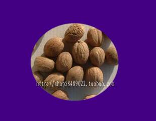  spice 印度进口食品 indian food 调料 香料 玉/肉豆蔻 NUTMEG