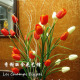 皇冠7天包退换 24朵郁金香白橙+背景藤+花器=99元 家居仿真花艺