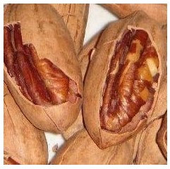  坚果零食  炒货 长寿果/碧根果/美国山核桃500克中尖特价2斤包邮