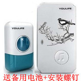 taobao english 12337773341