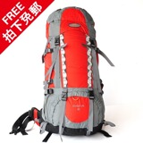TrackMan登山包 户外双肩包特价正品背包 60L男女旅行背包 大容量