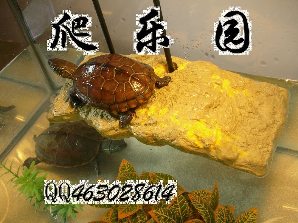 爬虫\/鸣虫及其用品,特价运费 腐植土6L=1.7KG