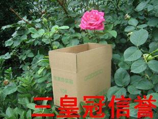 ★四皇冠信誉★超低价◆普质◆邮政纸箱/包装纸箱纸盒子10#三层
