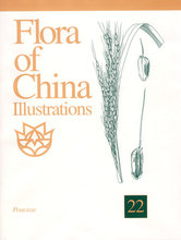 ���棺Flora of China-Illustrations(22)